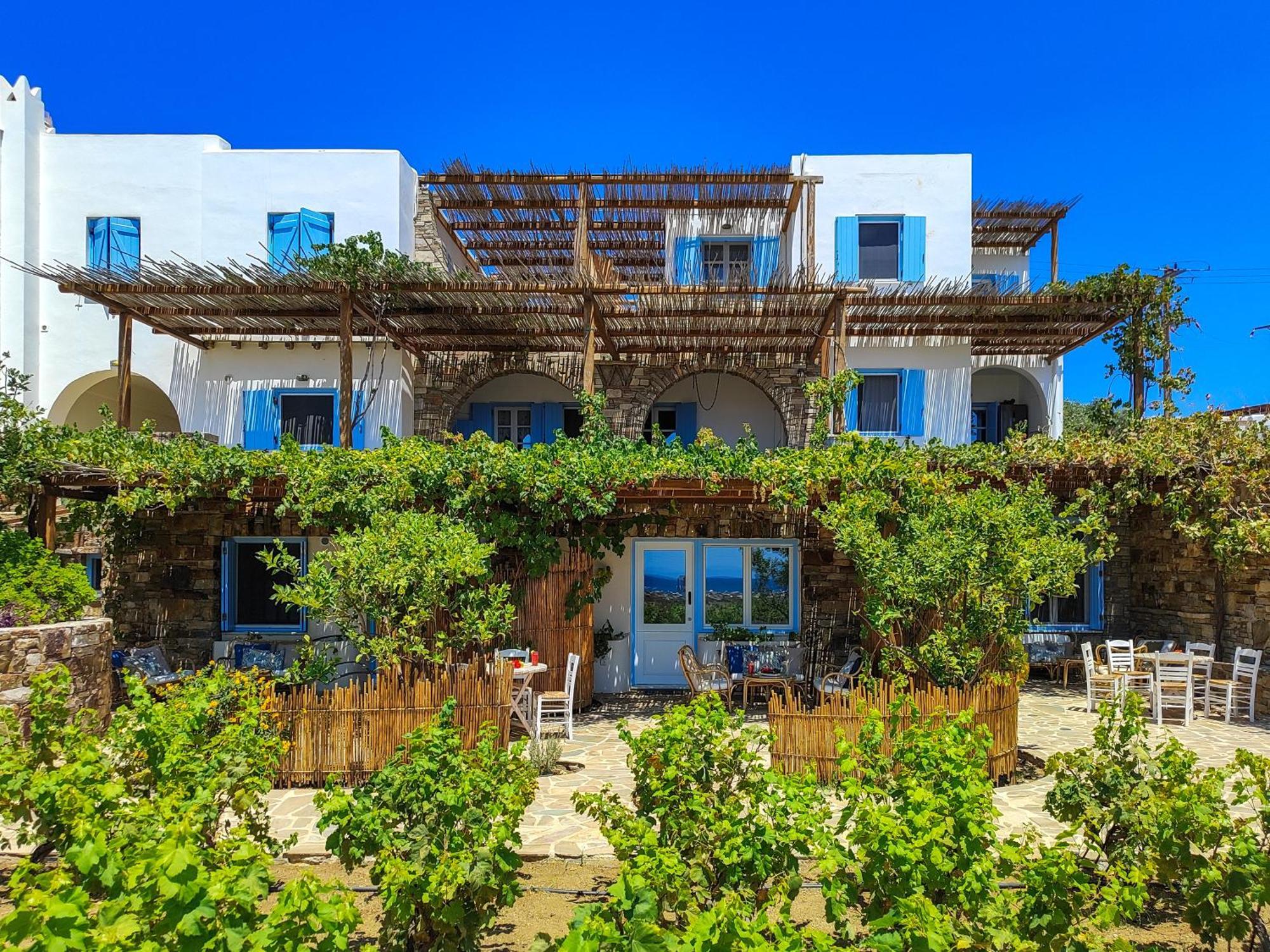 Kyma Apartments - Naxos Agios Prokopios Exteriör bild