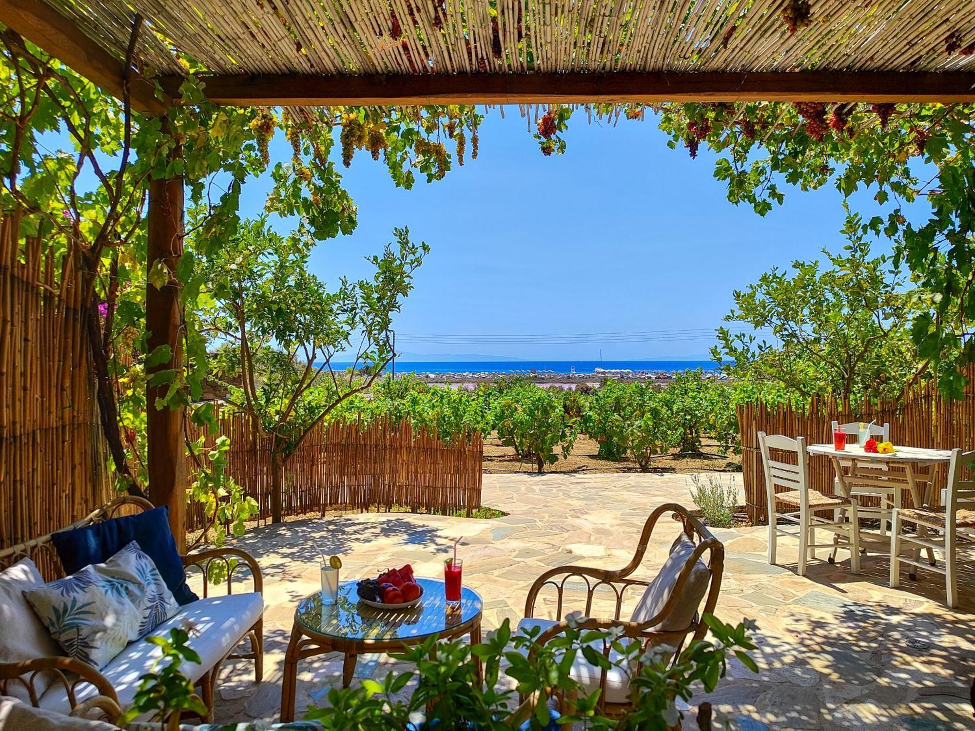 Kyma Apartments - Naxos Agios Prokopios Exteriör bild